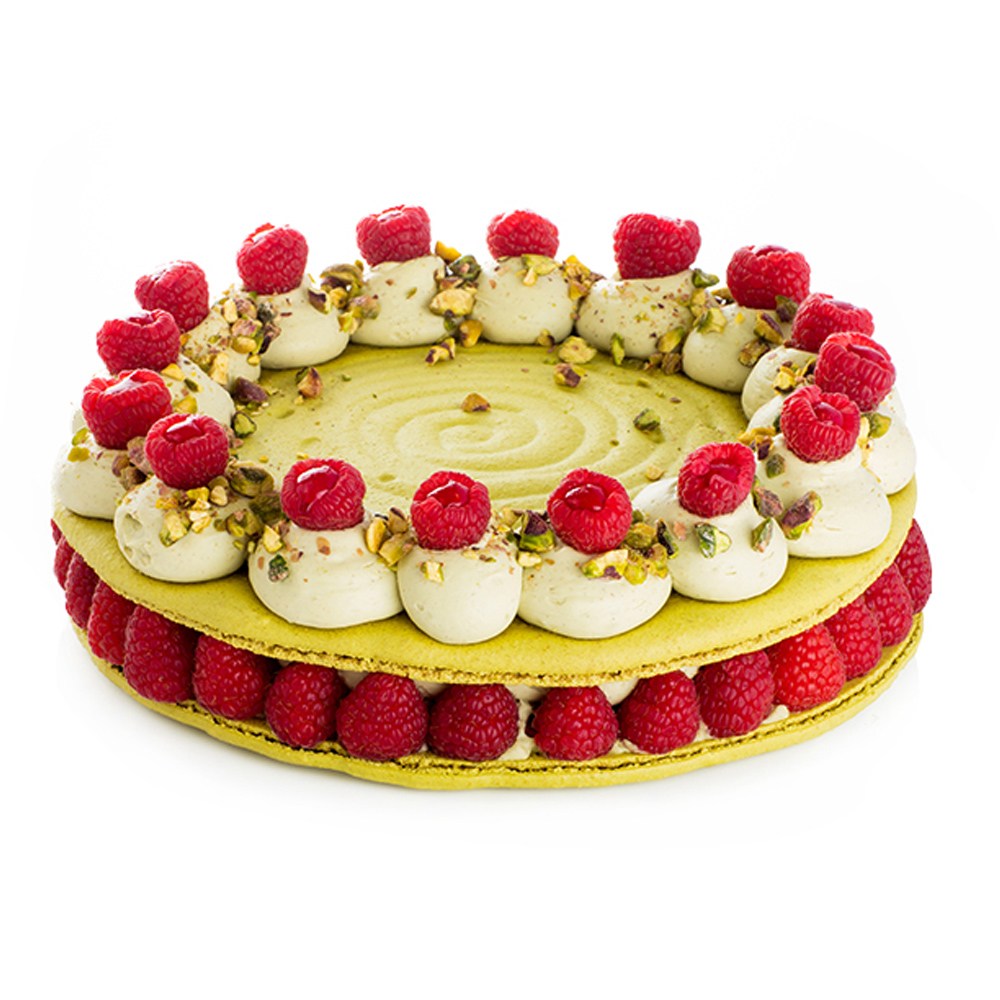 XXXL Makronka Ollies